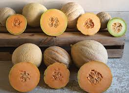 They did not grow from the tree they did however grow up cantaloupe is not native to puerto rico. Melon Growing Basics Seed Starting Transplanting Culture Harvest Indicators Storage Shelf Life