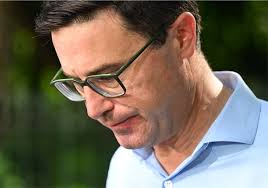 Kate versus a busy, busy world