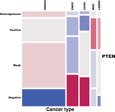 It is the most common type of your hair will grow back, but it may be somewhat different in color and texture. Clinical And Pathological Associations Of Pten Expression In Ovarian Cancer A Multicentre Study From The Ovarian Tumour Tissue Analysis Consortium British Journal Of Cancer