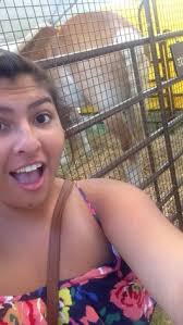 Cynical Outlooks: Joan Didion's “Notes from a Native Daughter” & Mike Davis  “City of Quartz”