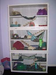 Bookcase Cages Pet Rats Rat Cage Cool Hamster Cages