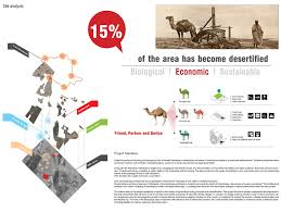 Camels are working animals especially suited to their desert habitat and are a vital means of transport for the kidneys and intestines of a camel are very efficient at reabsorbing water. Camel Grazing Station Ecological Urbanism Approach In Marrakech Boscoshl Personal Network