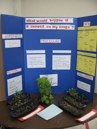 Plant Science Fair Projects