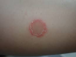 なんよう動物病院