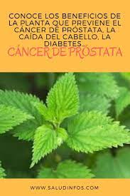 He estado investigando algunas plantas que pudieran ayudar a combatir la diabetes, pero no se si al consumirlas pudieran tener alguna contraindicación? Plantas Que Curan Y Sanan La Diabetes 4 Poderosas Plantas Que Te Ayudan A Controlar La Diabetes Las Mejores Plantas Para La Diabetes The Best Drop Fade Hairstyles