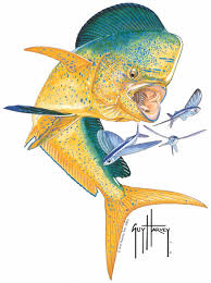 Dolphin 1500 Pixel H Rgb Jpeg For Web 14355 1409127744 1280 1280 Jpg 956 1280 Guy Harvey Art Guy Harvey Fish Art