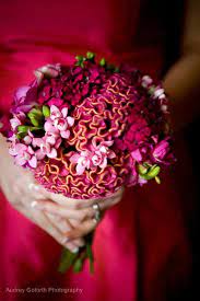 The Enchanted Florist Asheville Nc Bridal Bouquet Diy Wedding Flowers Pink Bouquet