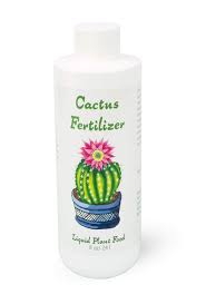 Feeds every time you water! Cactus Fertilizer Liquid Cacti And Succulent Fertilizer For Live Indoor Cactus Plants In Cactus Soil Cactus Food Npk Cacti And Succulent Food For Potted Cacti Plants Live By