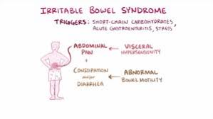 Irritable Bowel Syndrome Wikipedia