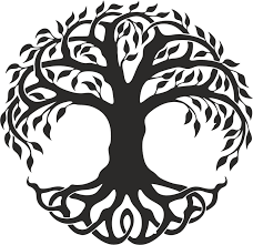 Find & download free graphic resources for tree of life. Figure Drawing Tree Of Life Clip Art Image Celtic Tree Of Life Png Download 800 773 Free Tra Tree Of Life Images Celtic Tree Of Life Tree Of Life Artwork