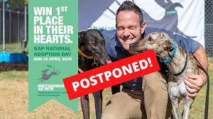 Greyhounds as pets wa (gap) is a program of racing and wagering western australia (rwwa). Gap National Adoption Day Greyhounds As Pets