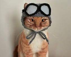 Chapeaux Pour Chats Chapeau De Curler Chapeau De Chat Etsy Photo Chat Costume Chat Bonnet Chat