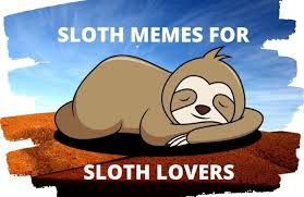 1 fallout 3 1.1 bugs 2 fallout: Sloth Memes Giveaway Win Sloth Meme Shirt Or Sloth Meme Cup