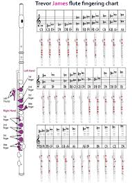 Chinese Flute Finger Chart Alto Flute Fingering Chart Flute