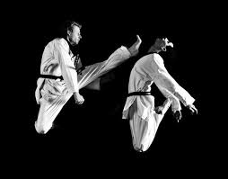 Pin By Courtney Harris On Sydney Moreano Martial Arts Photography Sports Action Photography Action Photography