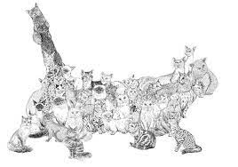 งานสก อตเข าแล วจ าา กางเกงสไตล เกาหล ทรงขากระบอกเล ก ลายสก อต น าร กมากเวอร เน อผ าทอลาย บาง เบา ใส ในว นสบายๆ ไม ต องซ อของแพง