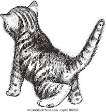 Explore and download more than million+ free png transparent. Kitten Hand Drawing Vector Illustration Kitten Sketch Curious Kitten Canstock