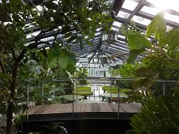 Die öffnungszeiten sind täglich von 8:00 bis 17:30 uhr. Botanischer Garten Fur Zuhause Spaziergang Durch Die Gewachshauser Bgbm
