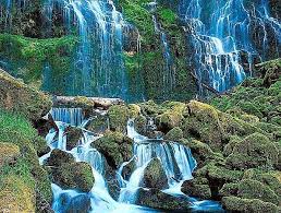 Download our free software and turn videos into your desktop wallpaper! Free Download Live 3d Wallpapers Download Cool Hd Wallpapers 952x721 For Your Desktop Mobile Tablet Explore 48 Htc Live Wallpaper Free Download 3d Live Wallpapers Free Download Htc M10