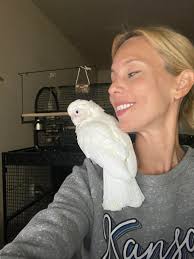 Our parrot is missing she responds to her name sweetie pie anyone sees her  please call 3462037 thanks