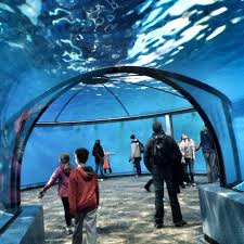 10 Unforgettable Things To Do With Kids In Indianapolis Indiana Vacation Kids Vacation Spring Break Trips