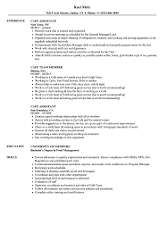 Cafe Resume Samples Velvet Jobs