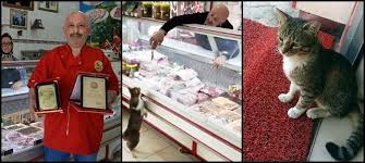 Kedi Yesim In Unu Dunyaya Yayildi