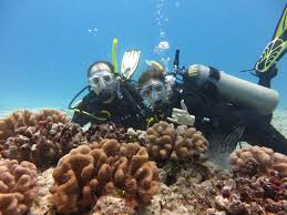 Scuba Diving Certification Prices In Hawaii Island Divers Hawaii