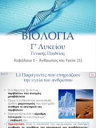 Fashion for pointy shoes unleashed plague of bunions in medieval britain 11/06/2021 Biologia G Lykeioy Genikhs Paideias Paroysiash 1
