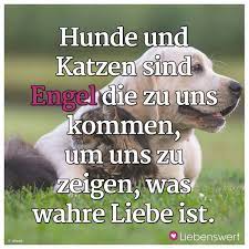 spruche fur tierliebhaber spruche tiere hund und katze zitate tiere