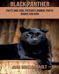 See more ideas about black panther, panther, panther cat. Black Panther Facts And Cool Pictures Animal Photo Books For Kids Boissonnault Jana 9781980558224 Amazon Com Books