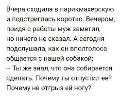 ahaaaa smeshno smeshnye teksty vdohnovlyayushie citaty