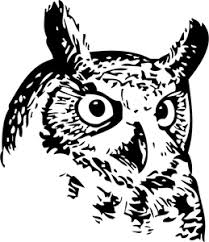 Imgbin is the largest database of transparent high definition png images. Owl Head Vector Image Burung Hantu Ilustrasi Burung Burung