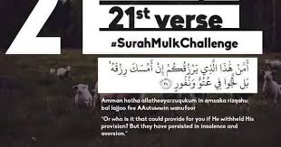 The Grass Is Always Greener On The Other Side Meaning In Urdu Pin On Daily Ayah