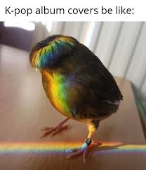 Maybe you would like to learn more about one of these? They Ve Got That Nice Haircut Memes