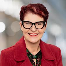 I would like a new roof and gutter INSPECTION! I have already had the new  roof installed. I am looking for a company who will document any and all  problems with the