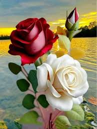 Probablemente eres de Caguas si ....