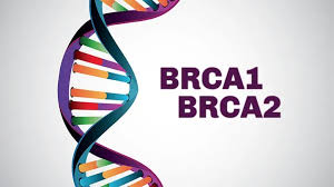 Image result for BRCA2