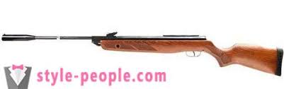 Cele mai bune pusti cu aer comprimat. Pusca Cu Aer Comprimat Gamo Hunter 1250 Prezentare GeneralÄƒ Caracteristici È™i Recenzii