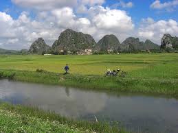 Risk factors of dengue fever in an urban area in Vietnam: A case-control  study - CGIAR