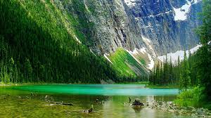 Free beautiful landscapes wallpapers and beautiful landscapes backgrounds for your computer desktop. Nature Beautiful Landscape Wallpaper Popular Century