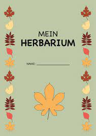 Kostenlose übungen und arbeitsblätter zum thema brüche / bruchrechnen für mathe in der 6. Herbarium Deckblatt Pdf Zum Ausdrucken Kribbelbunt