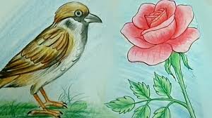 Rose drawing easy step by step simple with color rose drawing easy method. How To Draw Rose Flower Tweet Bird Step By Step Kids Drawing Tutorial Easy Drawing W Pencil