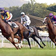 Pagine luci rosse follonica 11 min Pagine A Luci Rosse 5K.