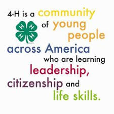 4 H Along With Providing Positive Youth Development 4 H Teaches 4 H Club 4 H Clover 4 H
