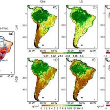 Image result for Justicia tenella