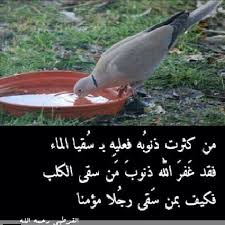 سقيا الماء beautiful words arabic quotes words