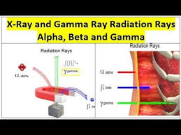 Rt X Ray Radiation Rays Alpha Beta And Gamma Human Body Radiation Beta Gamma