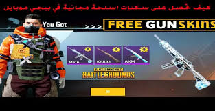 صور سكنات ببجي