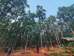 basket-weaving of Belpahari villagers ...